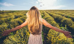 Weitere Infos zur Schoenenberger Naturkosmetik