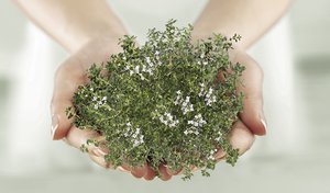 Natürliche Hilfe bei Husten und Bronchitis