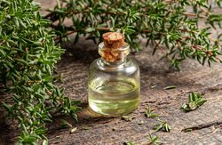 Synergistisch gegen Keime, Krämpfe, Schleim und Schmerzen