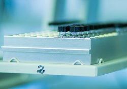 4. Kontrolle im eigenen Labor