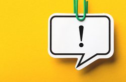 Vorsicht bei Korbblütler-Allergie