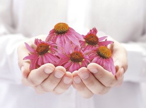 Stärkt natürlich die Abwehrkräfte