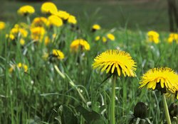 5. Zurück auf das Feld