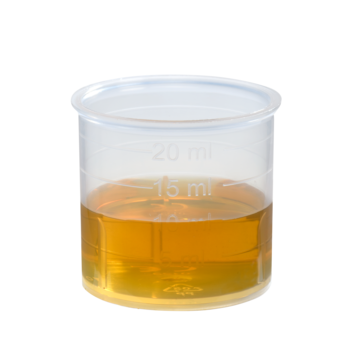 Schoenenberger Sellerie