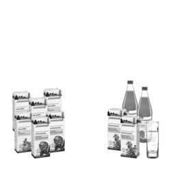 Schoenenberger Schlankheits-Kur „Möhre-Mango“