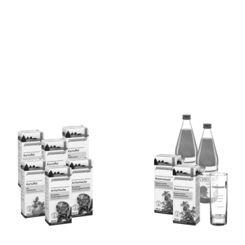 Schoenenberger Schlankheits-Kur „Möhre-Mango“