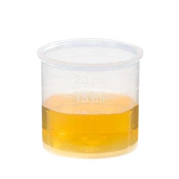 Schoenenberger Petersilie