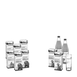 Schoenenberger Schlankheits-Kur „Apfel-Ingwer“