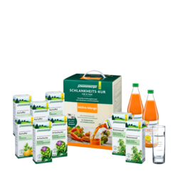 Schoenenberger Schlankheits-Kur „Möhre-Mango“