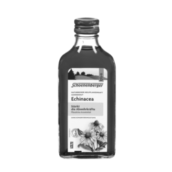 Schoenenberger Echinacea