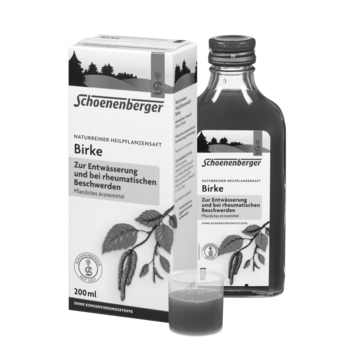 Schoenenberger Birke