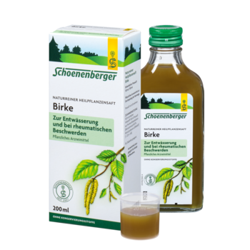 Schoenenberger Birke