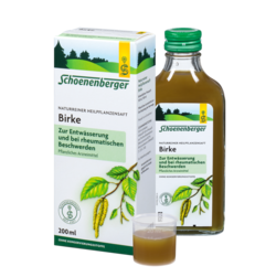 Schoenenberger Birke