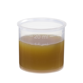 Schoenenberger Birke