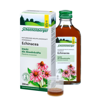 Schoenenberger Echinacea