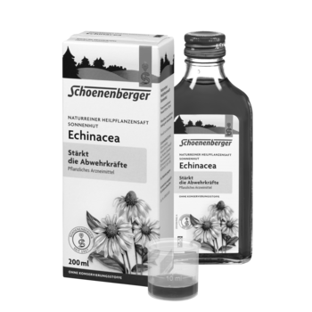 Schoenenberger Echinacea