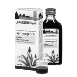 Schoenenberger Spitzwegerich