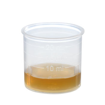 Schoenenberger Ingwer